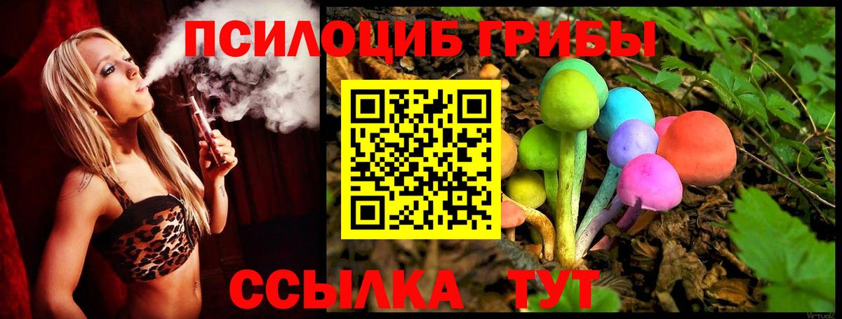 Конаково  Псилоцибиновые грибы прущие грибы  Вход с VPN  Галлюциногенные грибы Psilocybe 