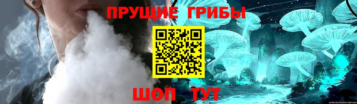 Псилоцибиновые грибы мицелий Конаково